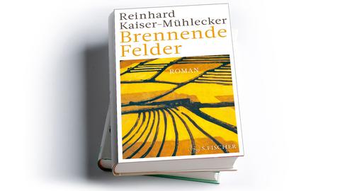 Reinhard Kaiser-Mühlecker: Brennende Felder