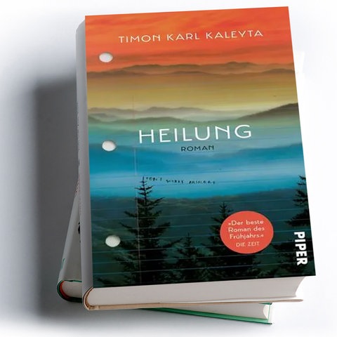 Timon Karl Kaleyta: Heilung