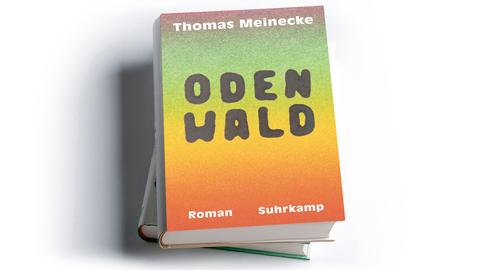 Thomas Meinecke: Odenwald