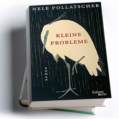 Nele Pollatschek: Kleine Probleme - Podcast: Neue Bücher. Die  hr2-Literaturrezension