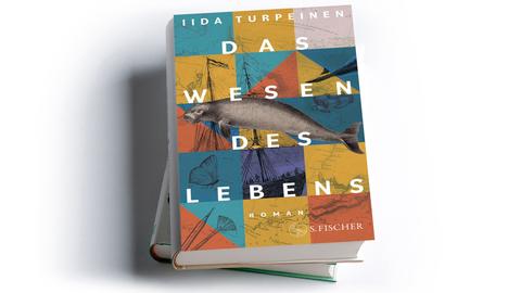 Iida Turpeinen: Das Wesen des Lebens