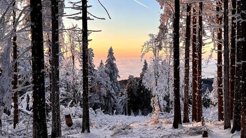 Winterlandschaft am Feldberg im Taunus