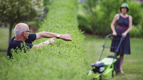 Zwei Nachbarn streiten sich über die Hecke