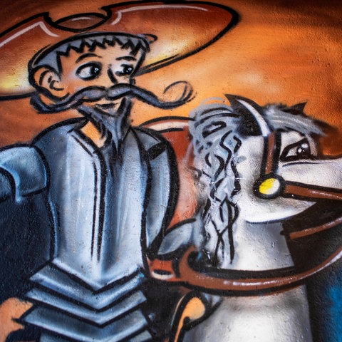 Don Quixote, Grafitto in Alcala de Henares