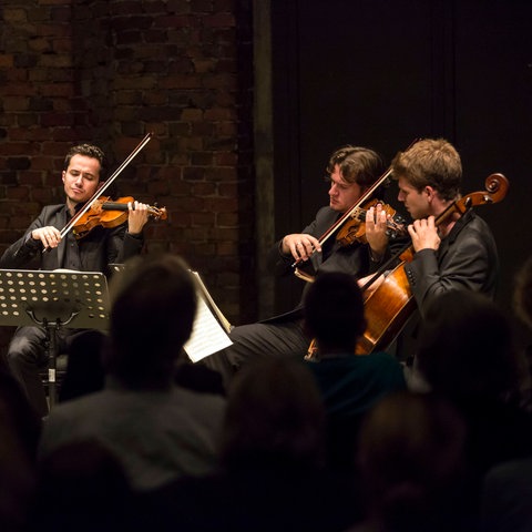 Das französische Streichquartett Quatuor Ébène