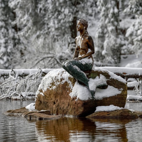 Nixe im Schnee am Mummelsee im Schwarzwald