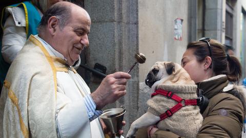 Ein Priester segnet einen Hund